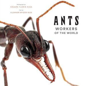 Ants : Workers of the World Large Hardcover Book 144 Pages NEW!
